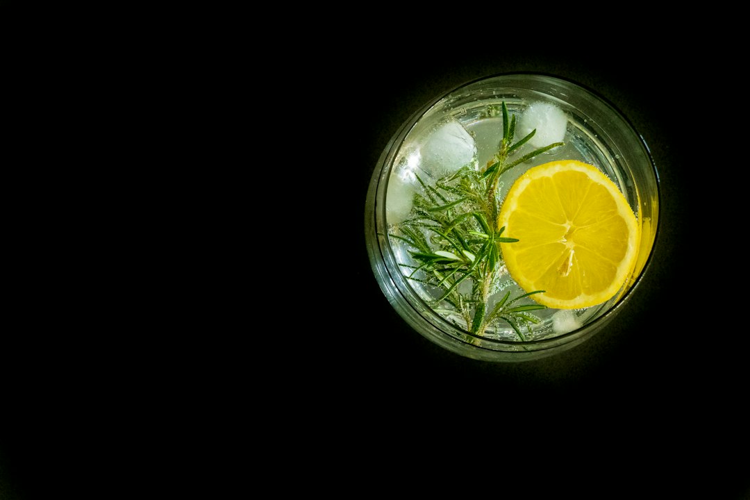 Gin Tonic mit Rosmarinzweig, Zitrone und Eis im Glas